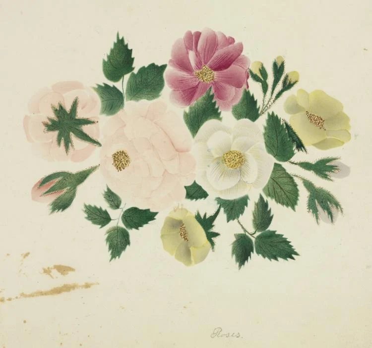 June Roses