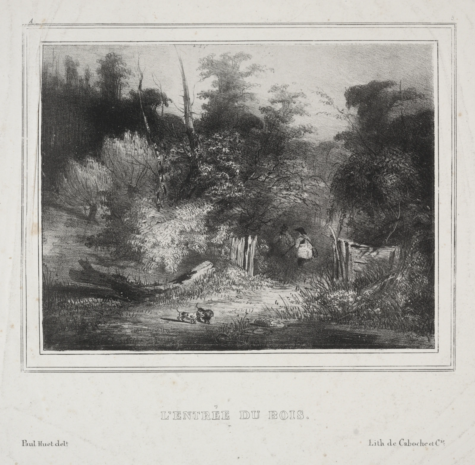 Landscapes:  The Entrance of a Forest