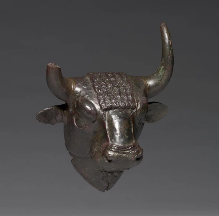 Bull Head Attachment