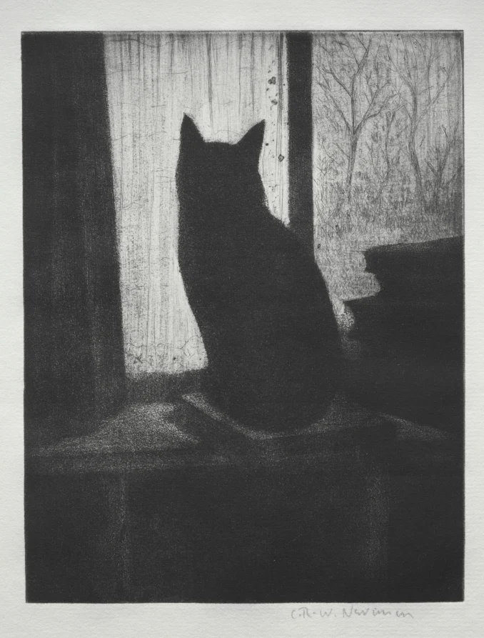The Cat