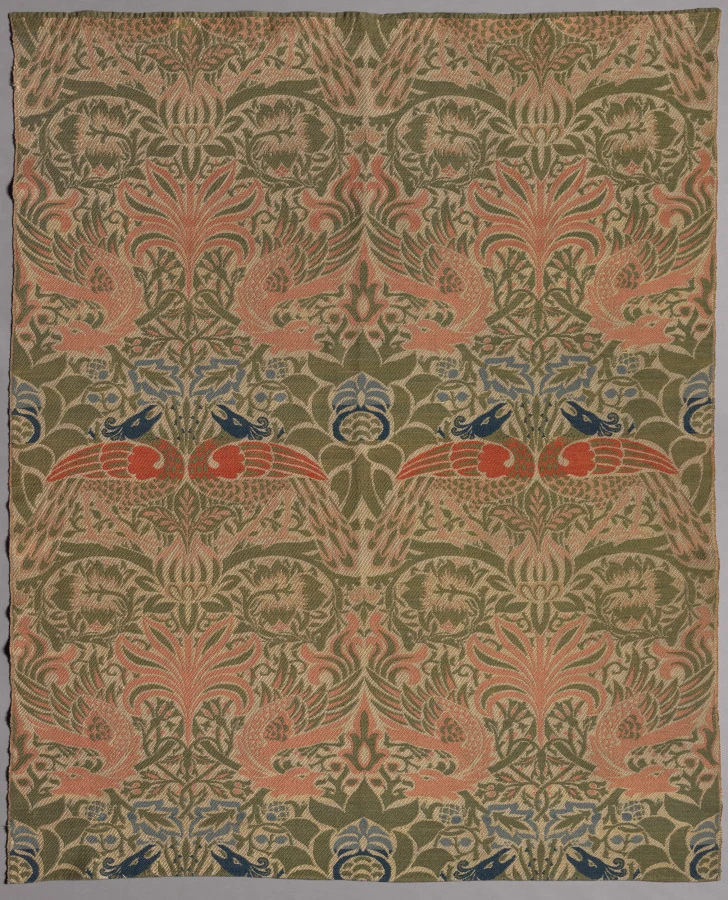 Peacock and Dragon 