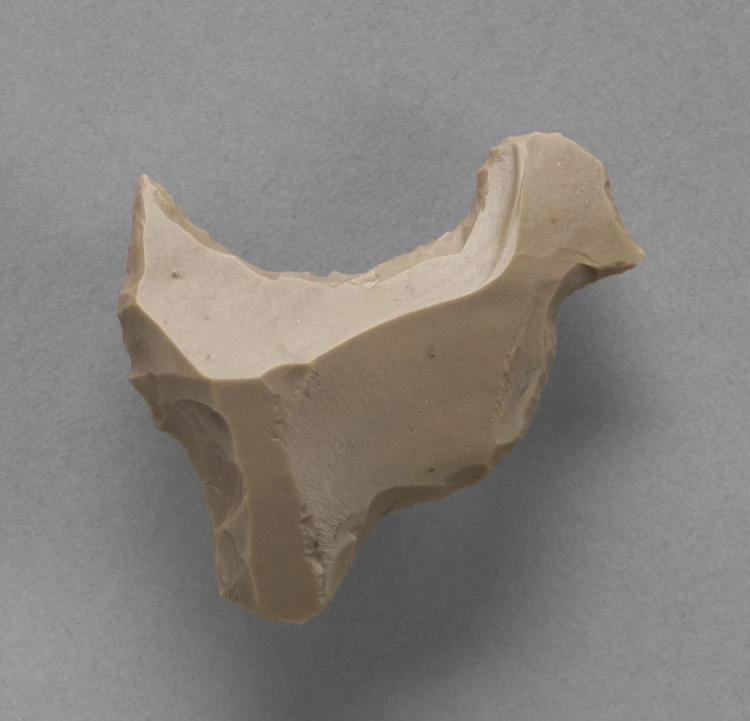 Flint in the Form of a Bird