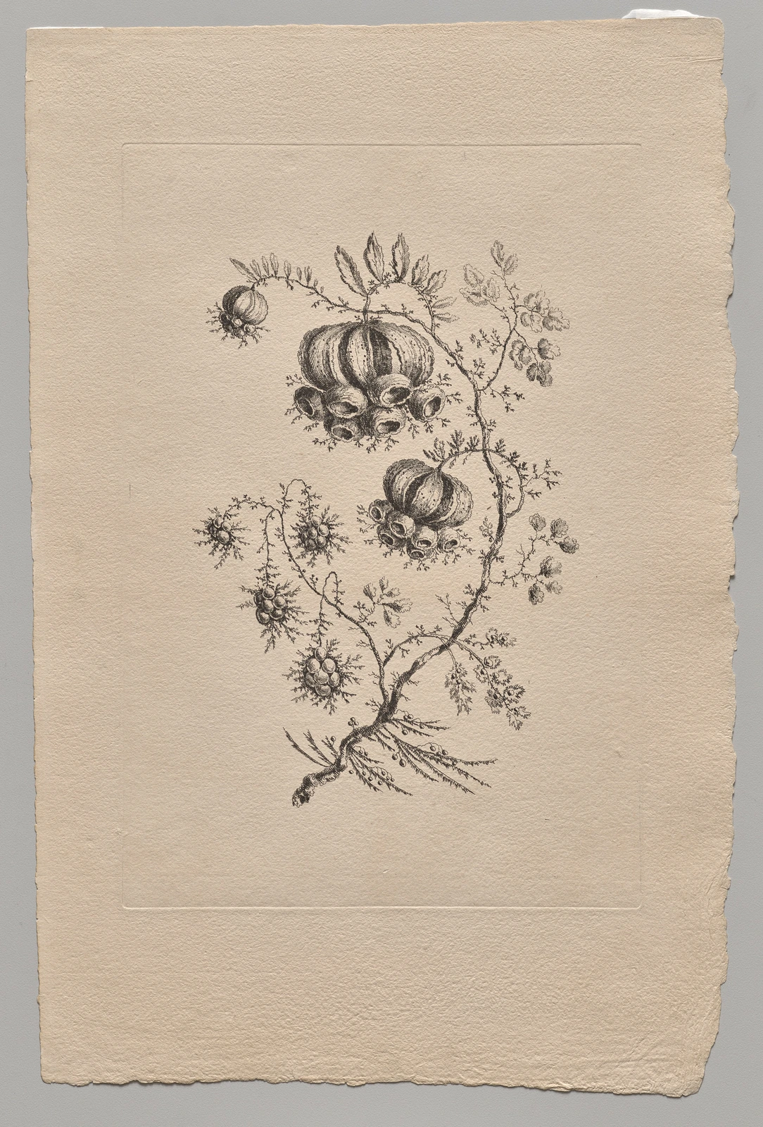 Persian Flowers