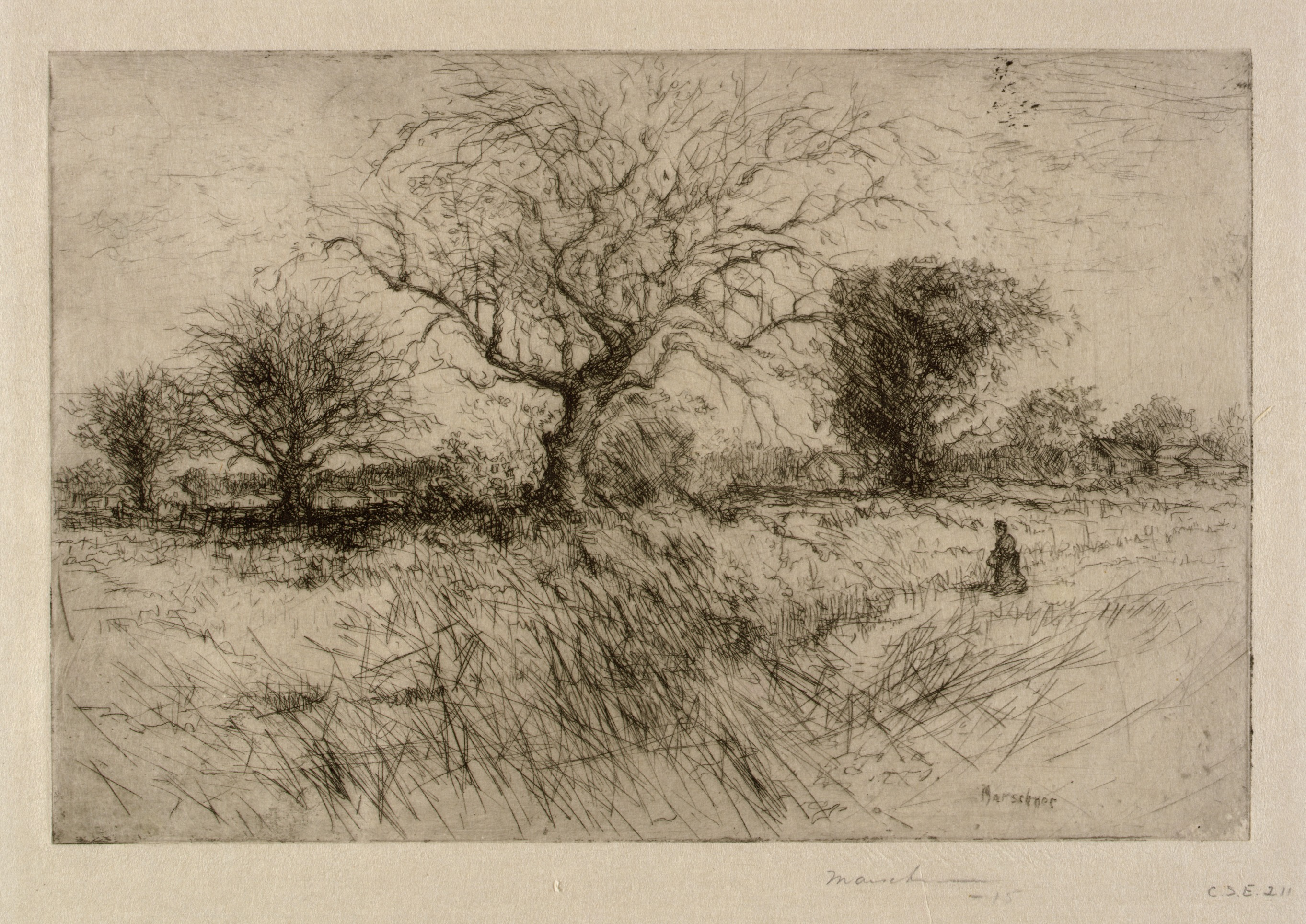The Old Orchard
