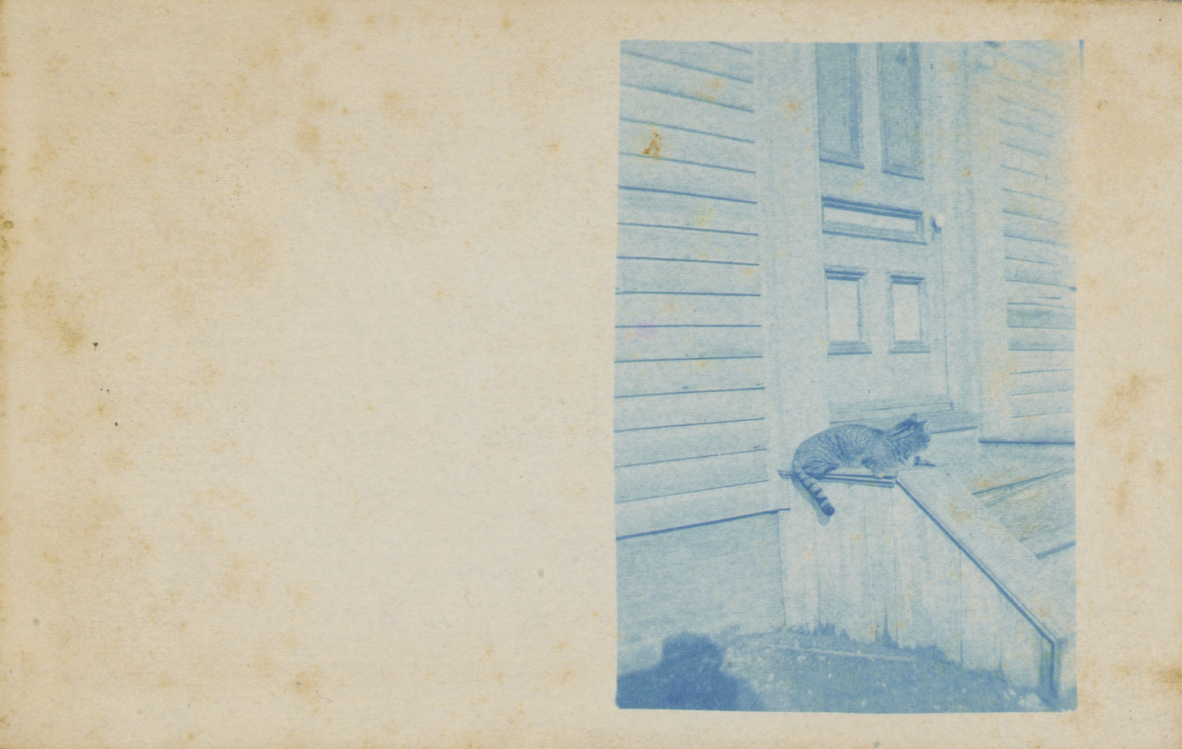 Untitled (postcard)