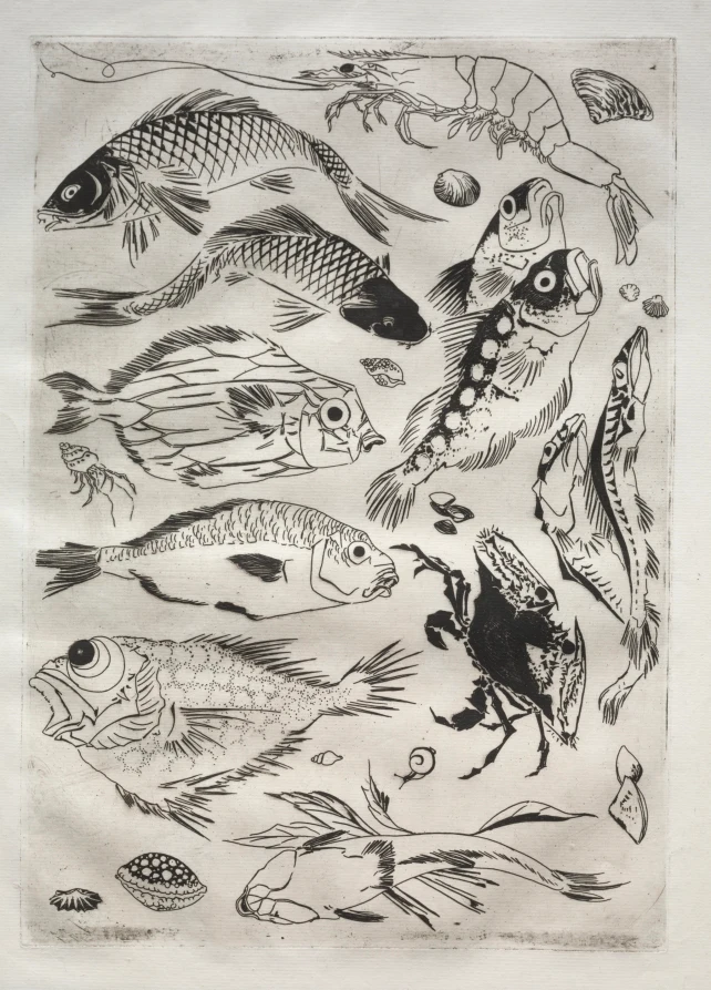 Dinner Service (Rousseau service): Fish (no. 24)