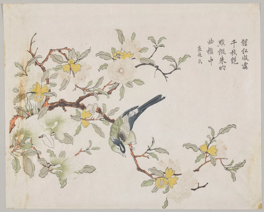 Bird on Pomegranate
